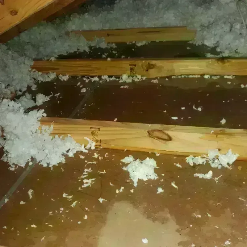 Attic Water Damage in Hampstead, NC